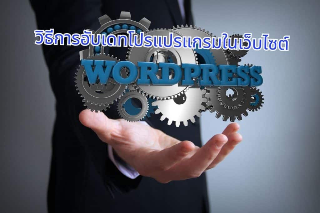 วิธีการอับเดทโปรแปรแกรมในเว็บไซต์ WordPress