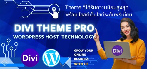 divi theme host banner